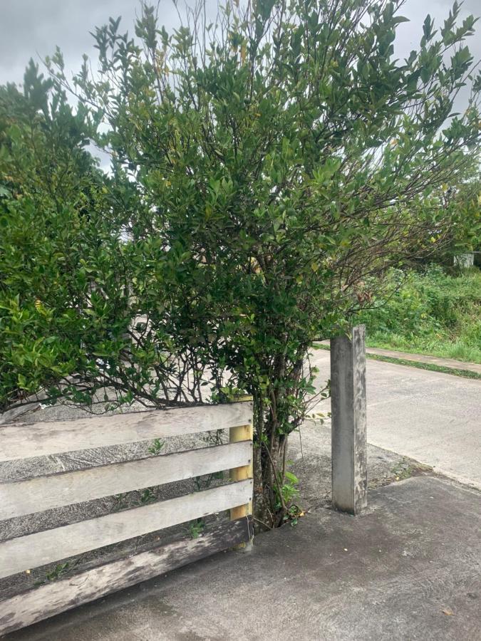 Caraibes Loc Apartamento Ducos Exterior foto